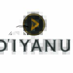 Diyanu LLC
